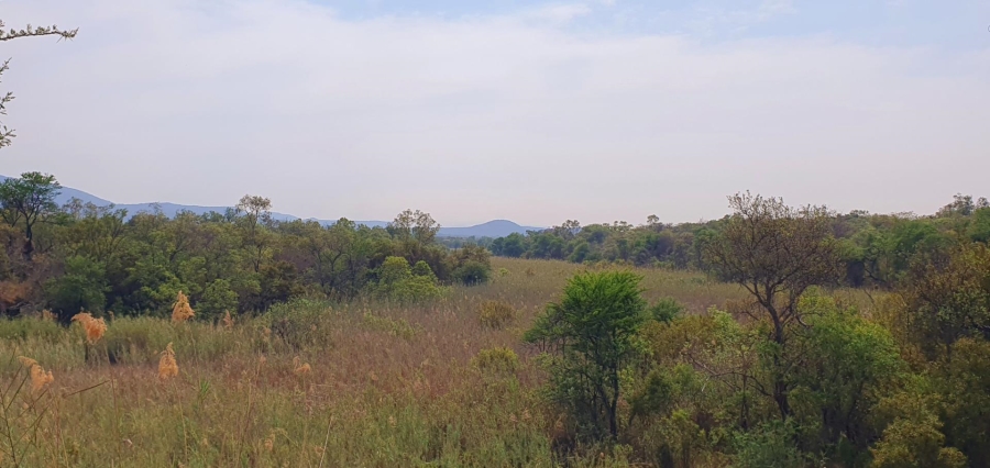 4 Bedroom Property for Sale in Mookgopong Limpopo