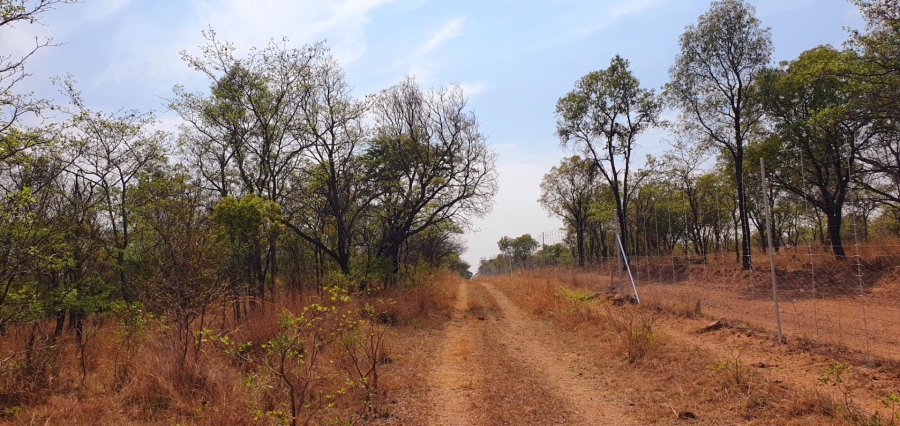 4 Bedroom Property for Sale in Mookgopong Limpopo