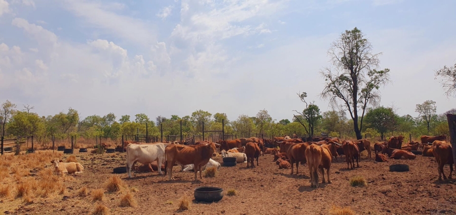4 Bedroom Property for Sale in Mookgopong Limpopo