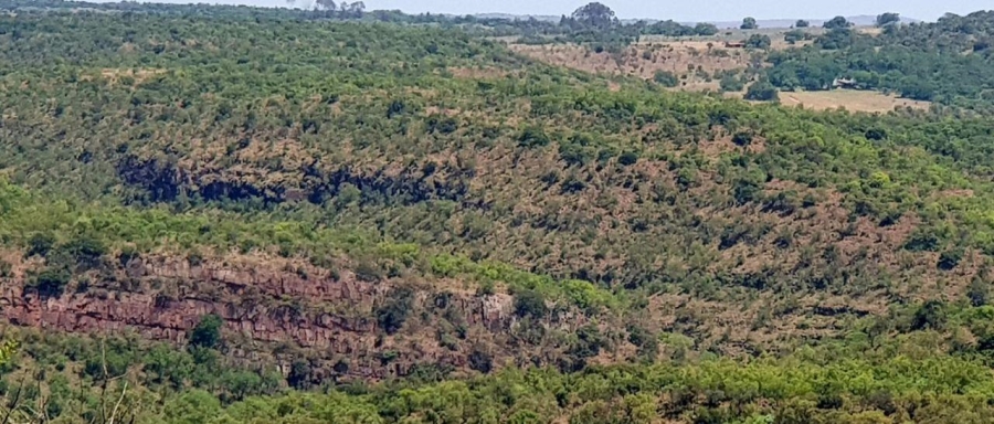 0 Bedroom Property for Sale in Bela Bela Limpopo