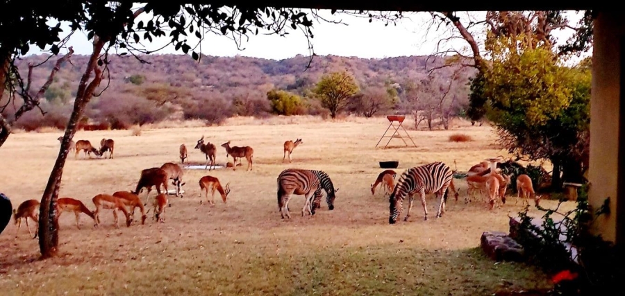 0 Bedroom Property for Sale in Bela Bela Limpopo