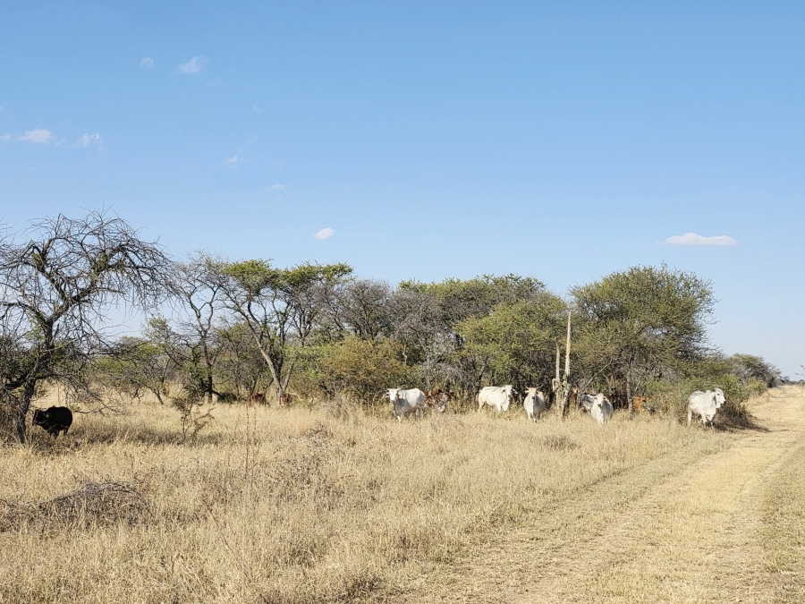 5 Bedroom Property for Sale in Grootvalley AH Limpopo