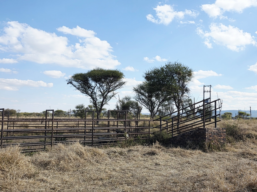 5 Bedroom Property for Sale in Grootvalley AH Limpopo