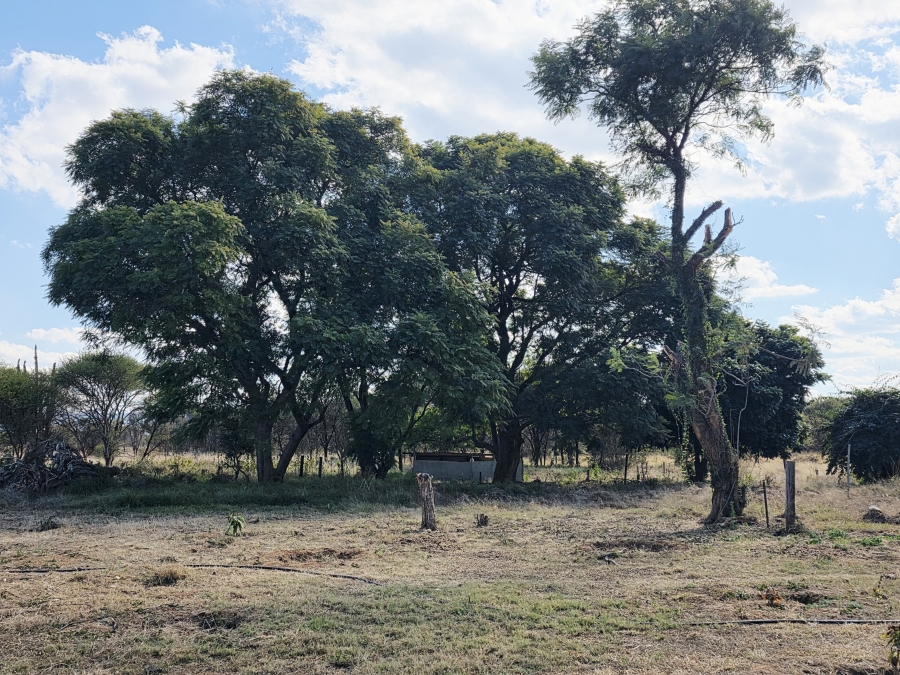 5 Bedroom Property for Sale in Grootvalley AH Limpopo