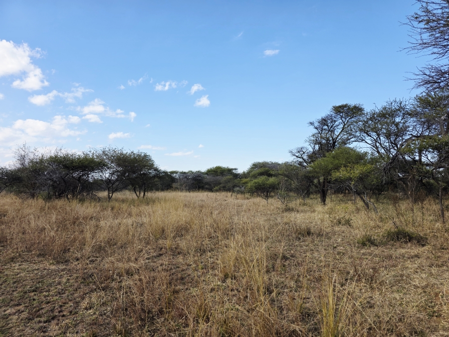 5 Bedroom Property for Sale in Grootvalley AH Limpopo