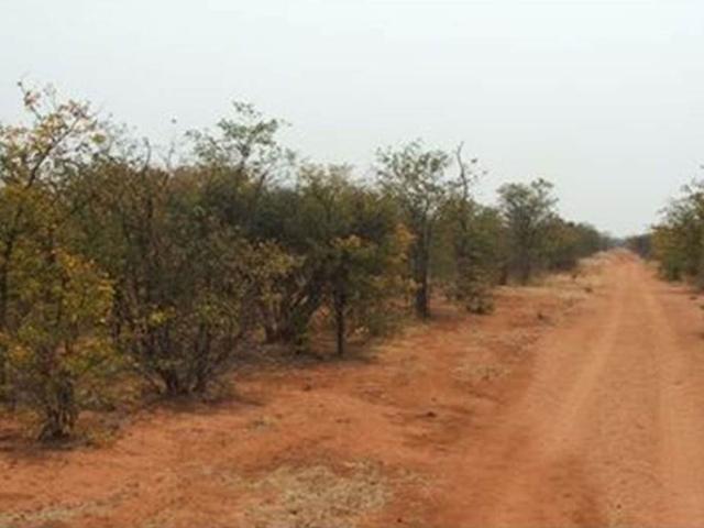 Commercial Property for Sale in Musina Limpopo