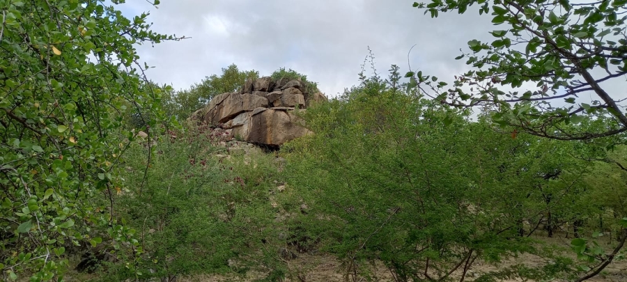 Commercial Property for Sale in Musina Limpopo
