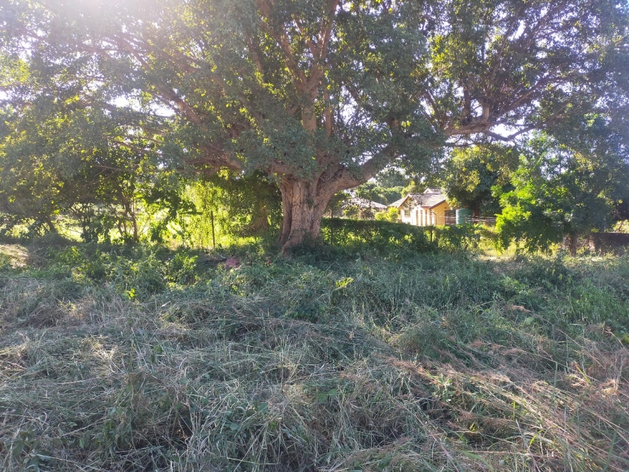0 Bedroom Property for Sale in Thohoyandou Limpopo