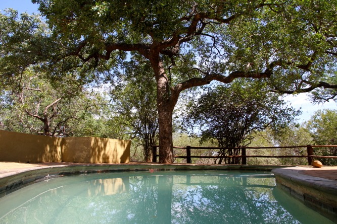 To Let 3 Bedroom Property for Rent in Raptors View Wildlife Estate Limpopo