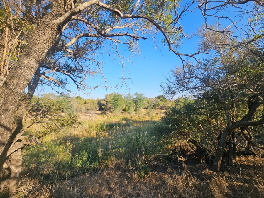 To Let 4 Bedroom Property for Rent in Zandspruit Bush Aero Estate Limpopo