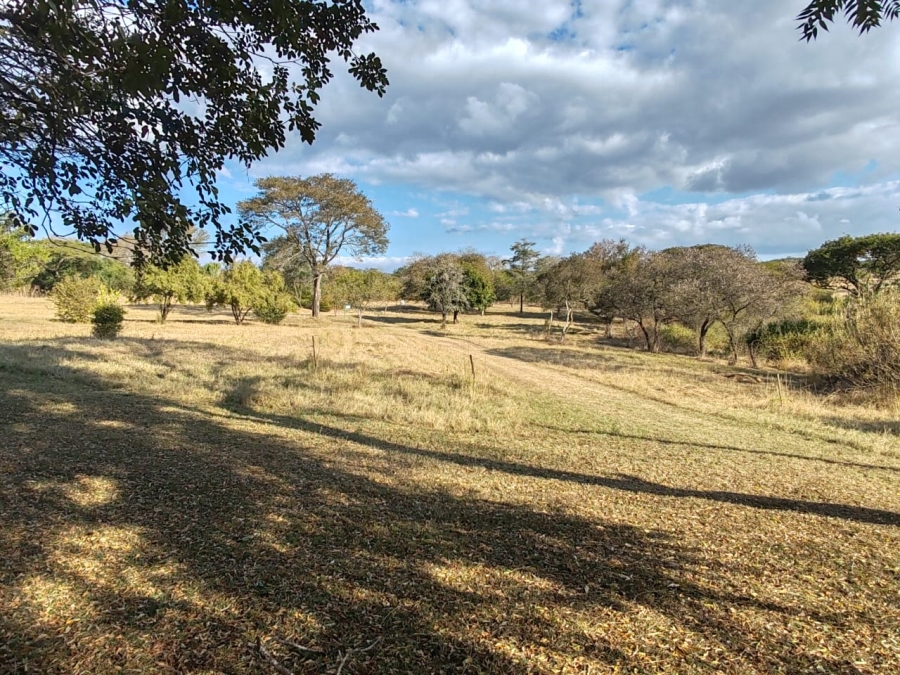 Commercial Property for Sale in Elim Limpopo