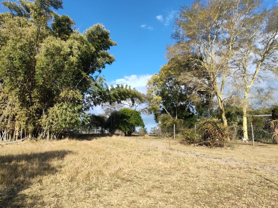 Commercial Property for Sale in Elim Limpopo