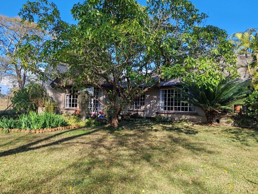 Commercial Property for Sale in Elim Limpopo