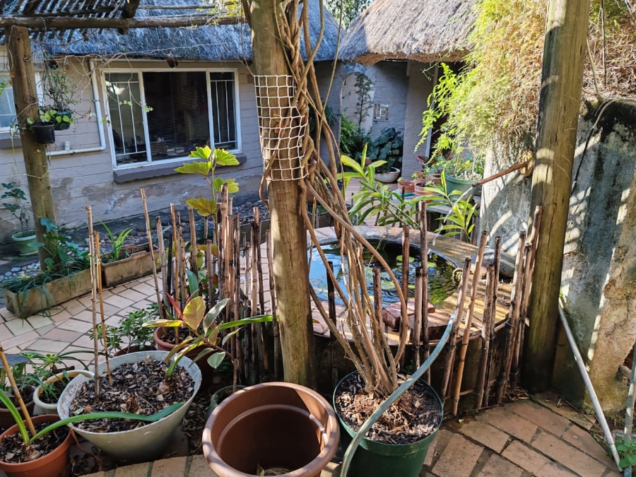 Commercial Property for Sale in Elim Limpopo