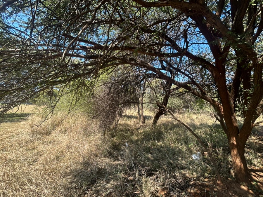 0 Bedroom Property for Sale in Chroompark Limpopo