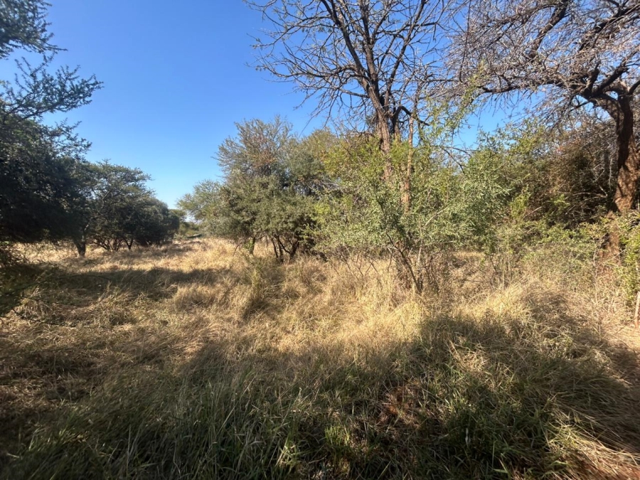 0 Bedroom Property for Sale in Chroompark Limpopo