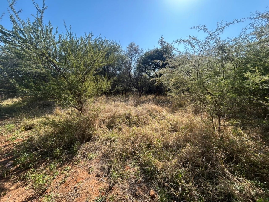 0 Bedroom Property for Sale in Chroompark Limpopo