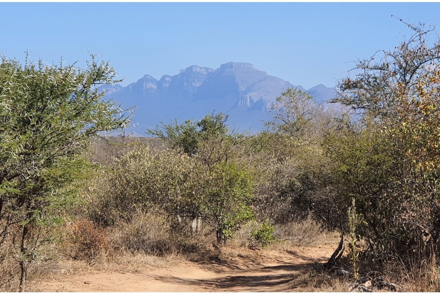 0 Bedroom Property for Sale in Raptors View Wildlife Estate Limpopo