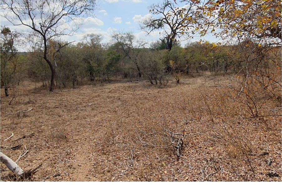 0 Bedroom Property for Sale in Raptors View Wildlife Estate Limpopo