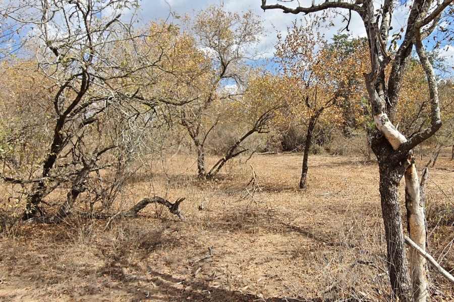 0 Bedroom Property for Sale in Raptors View Wildlife Estate Limpopo