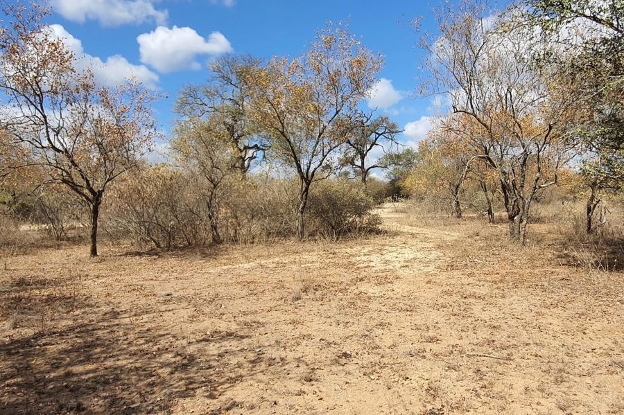 0 Bedroom Property for Sale in Raptors View Wildlife Estate Limpopo