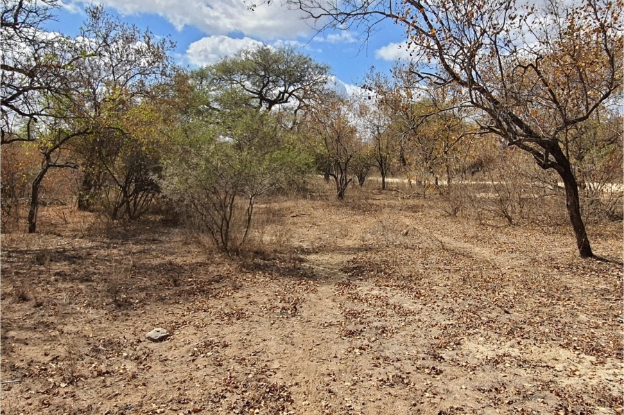 0 Bedroom Property for Sale in Raptors View Wildlife Estate Limpopo
