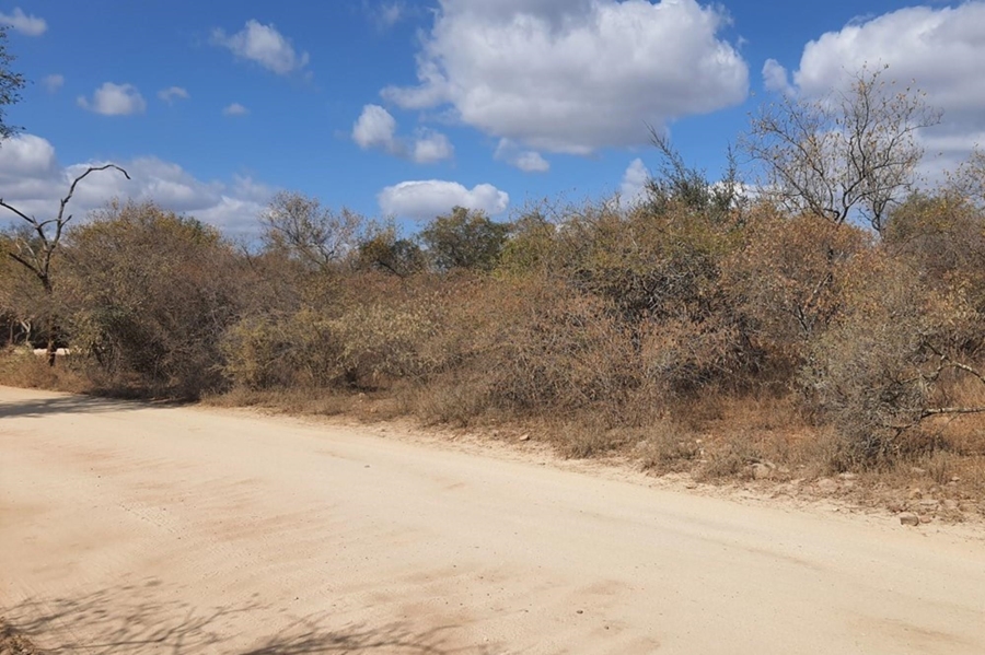 0 Bedroom Property for Sale in Raptors View Wildlife Estate Limpopo