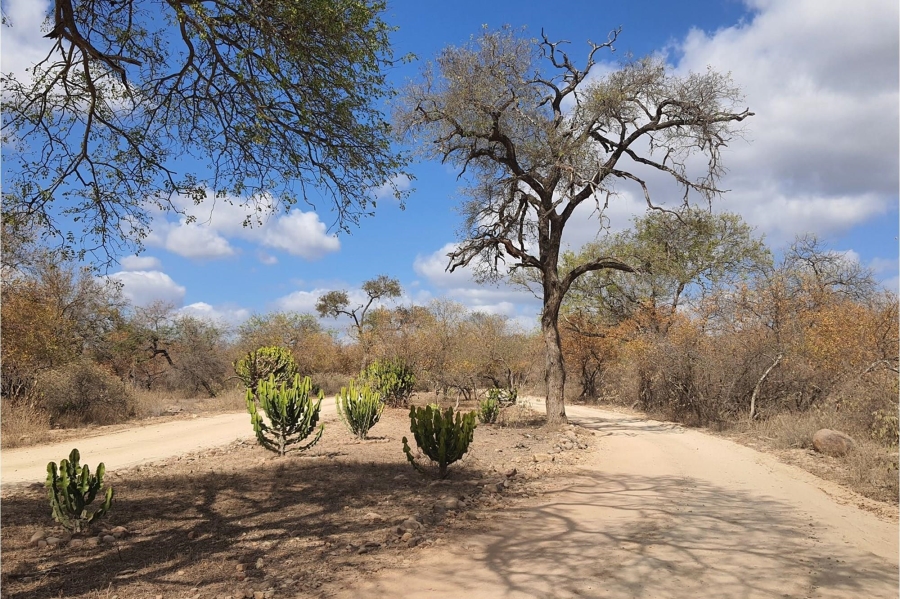 0 Bedroom Property for Sale in Raptors View Wildlife Estate Limpopo