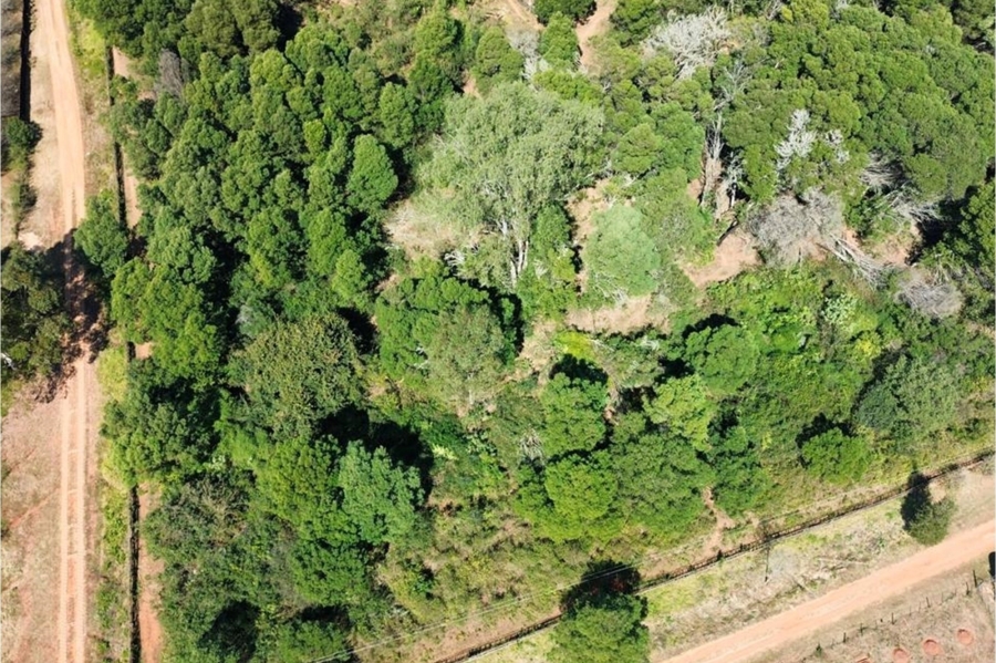 0 Bedroom Property for Sale in Haenertsburg Limpopo