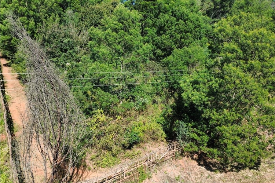 0 Bedroom Property for Sale in Haenertsburg Limpopo