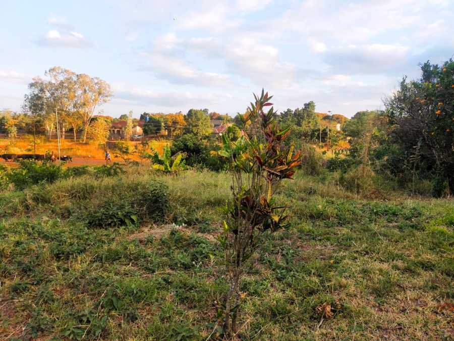 0 Bedroom Property for Sale in Maungani Limpopo