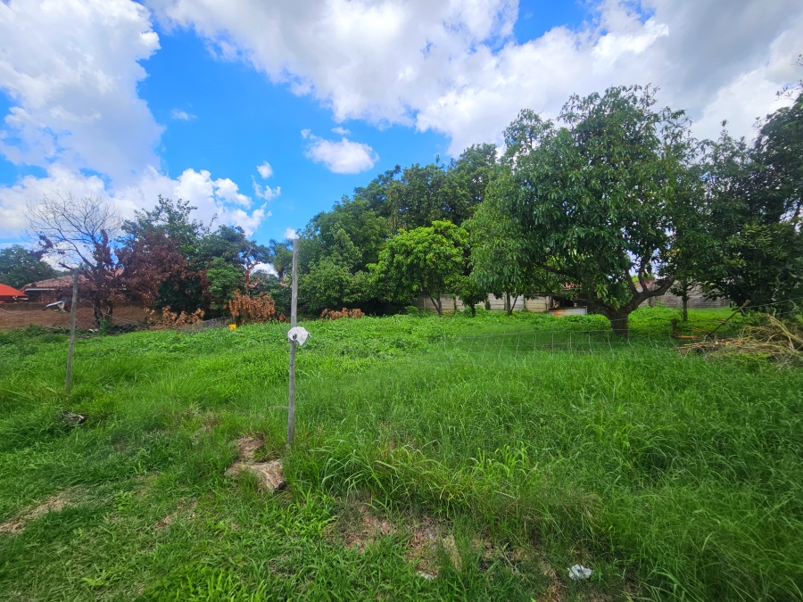 4 Bedroom Property for Sale in Louis Trichardt Limpopo
