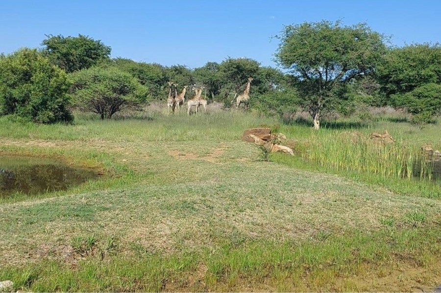 0 Bedroom Property for Sale in Ditholo Wildlife Estate Limpopo