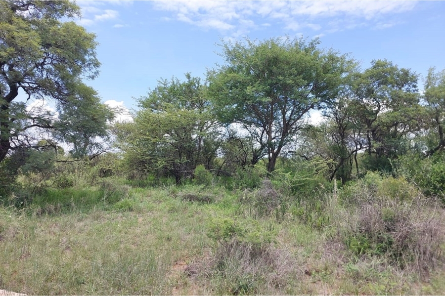 0 Bedroom Property for Sale in Ditholo Wildlife Estate Limpopo