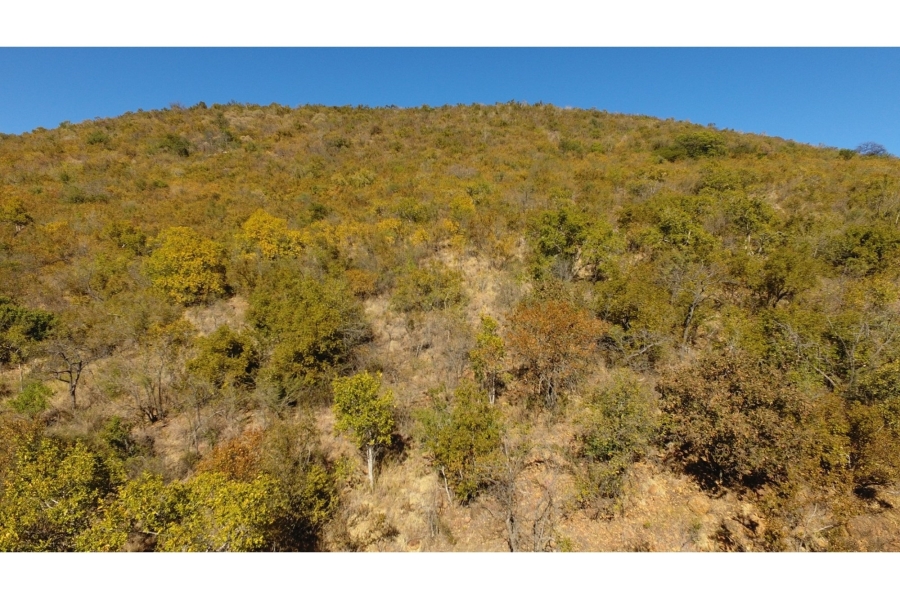 5 Bedroom Property for Sale in Zwartkloof Private Game Reserve Limpopo