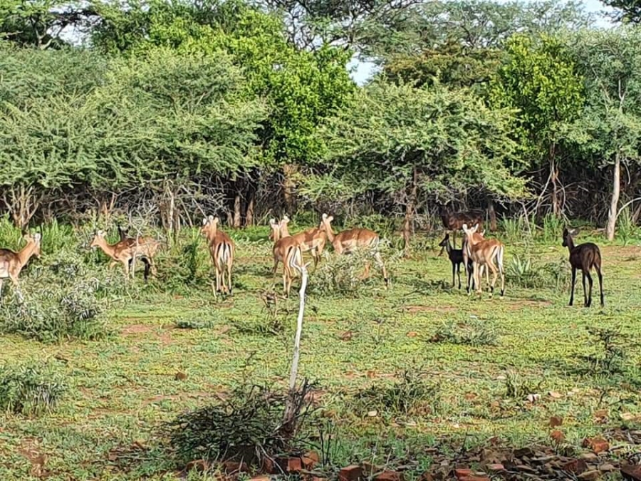 5 Bedroom Property for Sale in Mokopane Rural Limpopo