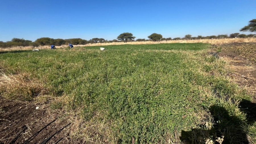 4 Bedroom Property for Sale in Bela Bela Limpopo