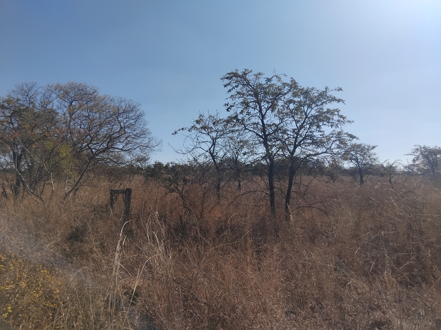 0 Bedroom Property for Sale in Leeukuil AH Limpopo