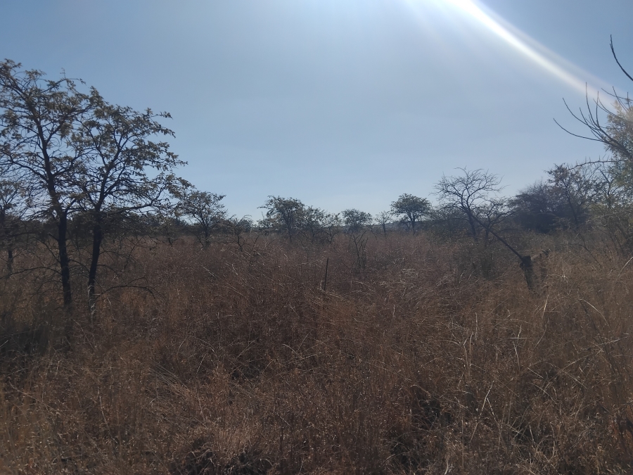 0 Bedroom Property for Sale in Leeukuil AH Limpopo
