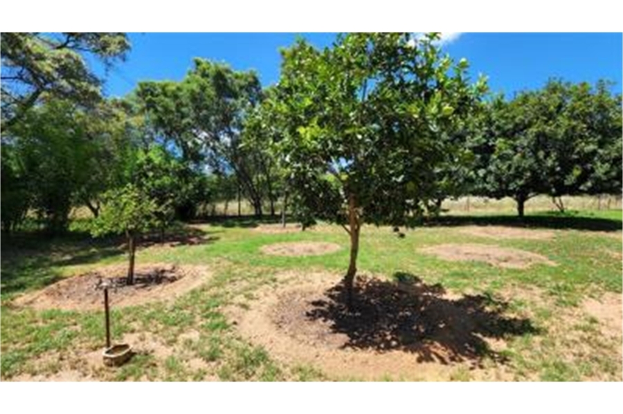 0 Bedroom Property for Sale in Bela Bela Limpopo