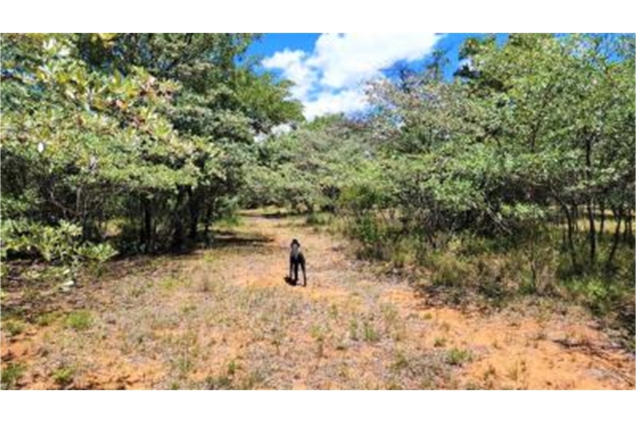 0 Bedroom Property for Sale in Bela Bela Limpopo