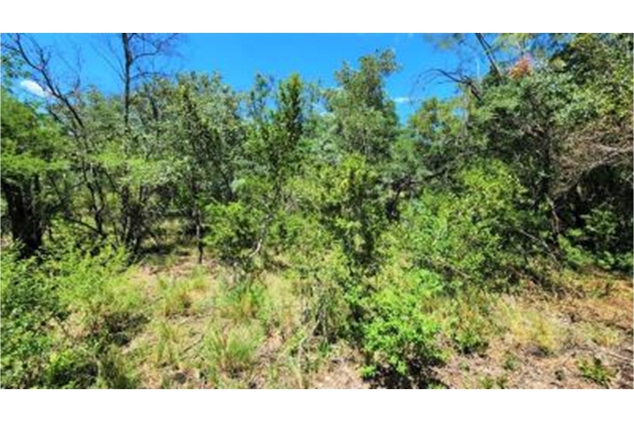 0 Bedroom Property for Sale in Bela Bela Limpopo