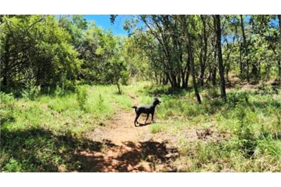 0 Bedroom Property for Sale in Bela Bela Limpopo