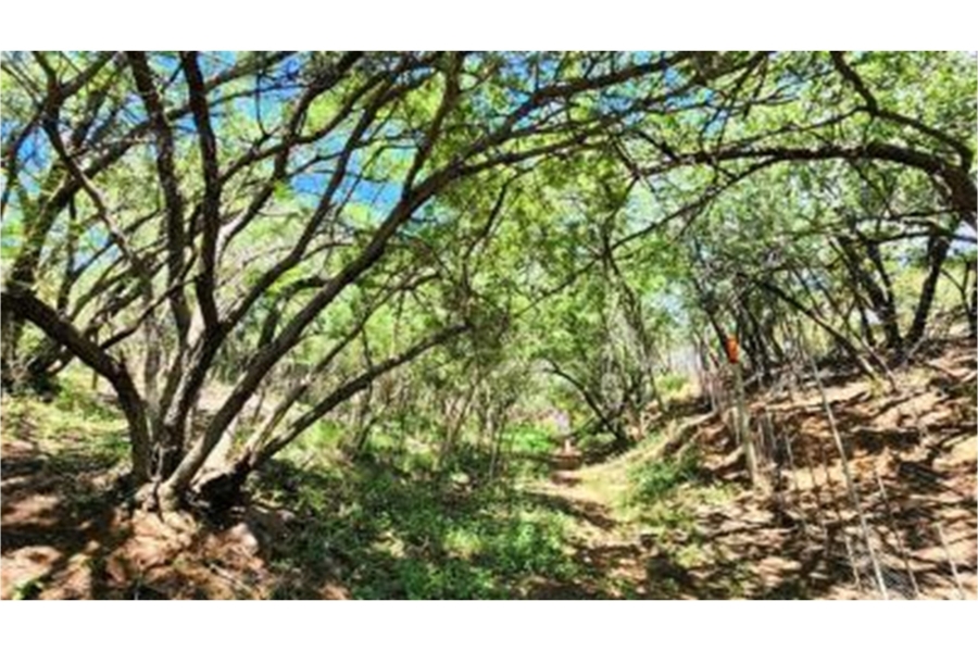 0 Bedroom Property for Sale in Bela Bela Limpopo