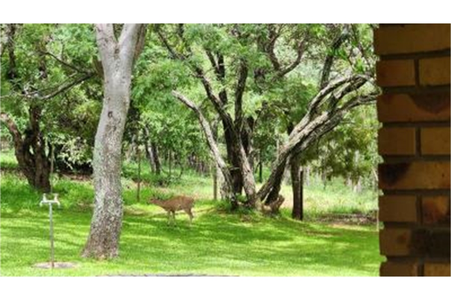 0 Bedroom Property for Sale in Bela Bela Limpopo