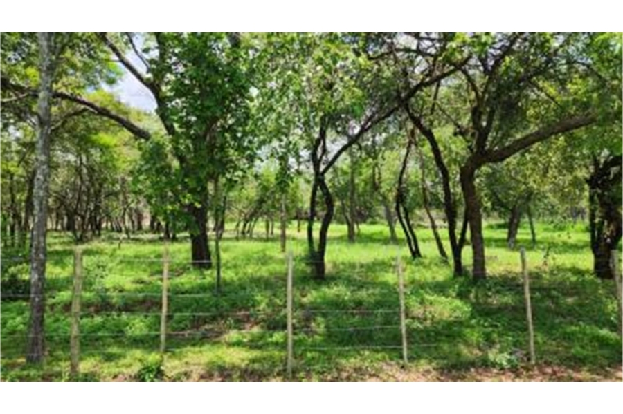 0 Bedroom Property for Sale in Bela Bela Limpopo