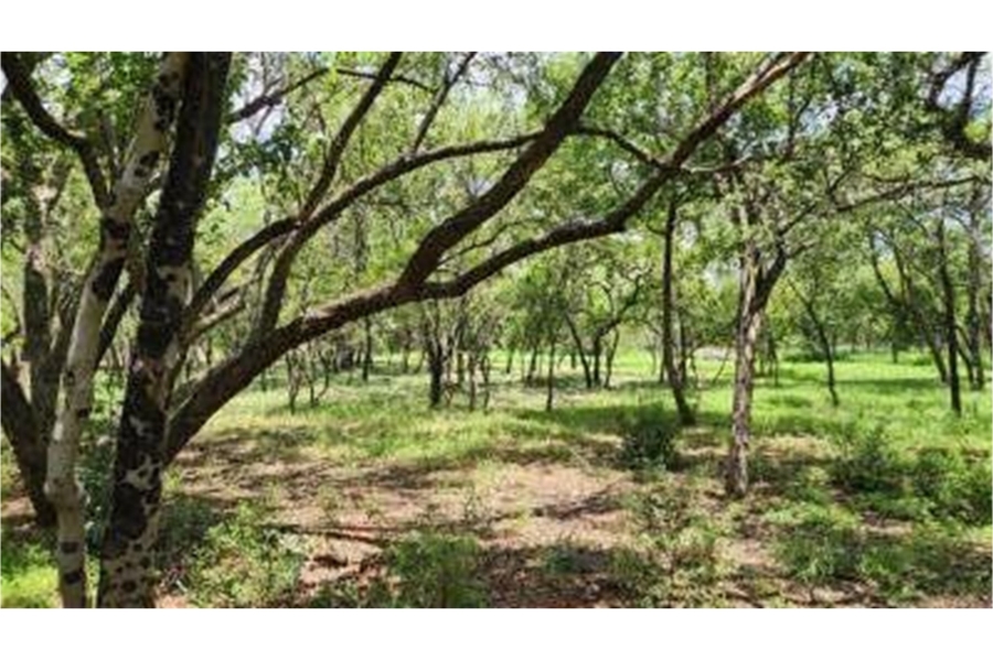 0 Bedroom Property for Sale in Bela Bela Limpopo