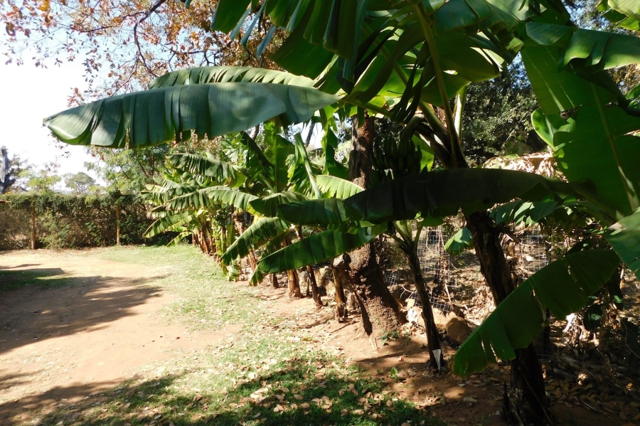 9 Bedroom Property for Sale in Kampersrus Limpopo