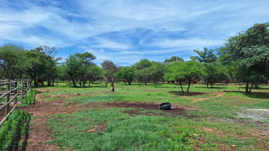 3 Bedroom Property for Sale in Bela Bela Limpopo