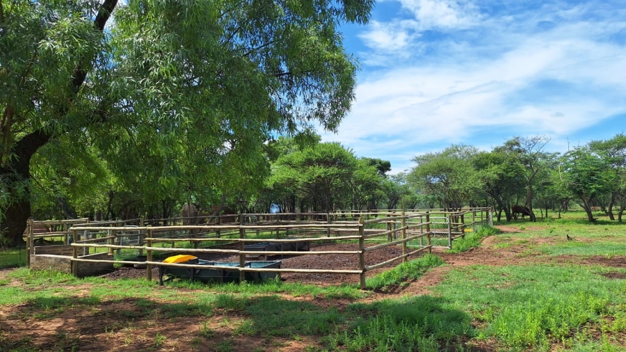 3 Bedroom Property for Sale in Bela Bela Limpopo